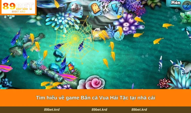 Tìm hiểu về game Bắn cá Vua Hải Tặc tại nhà cái