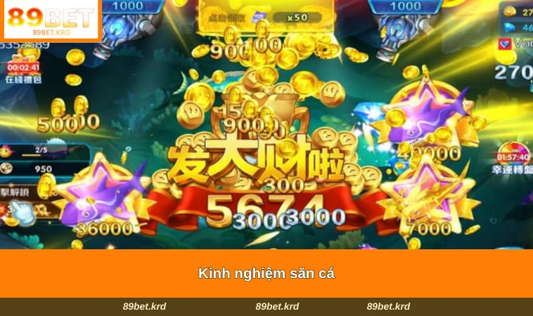 Kinh nghiệm săn cá