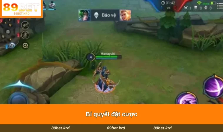 Bí quyết đặt cược